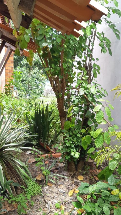 Natural Hostel Atins Dış mekan fotoğraf